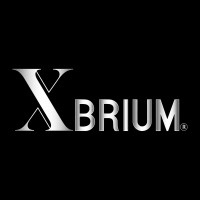 XBRIUM logo - Similar company to Castle Interactive