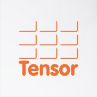 Tensor plc logo - Similar company to Control Developments Ltd