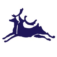 Telamonte logo - Similar company to Hiddengem