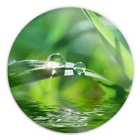 De Groene Spiegel logo - Similar company to Wefabric