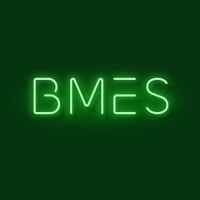BMES_Electrical logo - Similar company to Mainframe Computers Pvt. Ltd
