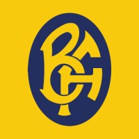 Bavini Ferreira Corretora de Seguros logo - Similar company to Partilhar Justiça (Paju)