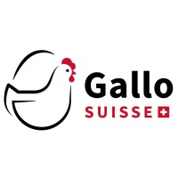 GalloSuisse logo - Similar company to Immoschwab