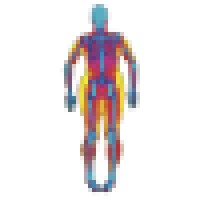 Body Dexa Fit