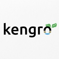 Kengro Corporation logo - Similar company to Esi Supply, Llc