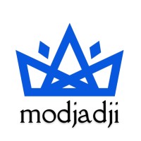 Modjadji logo - Similar company to Solutioneers