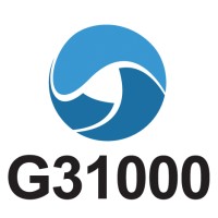 G31000 Risk Institute logo - Similar company to Arm Cube