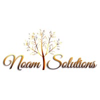 NOAM SOLUTIONS logo - Similar company to Retail Execution