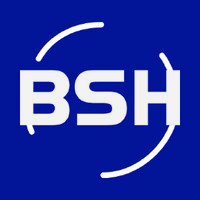 BSH - Borrero Sánchez Hermanos logo - Similar company to Flexfactor Oy