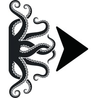 Octopus Outsource ZA logo - Similar company to Xenon Business Solutions