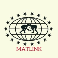 Matlink International logo - Similar company to Revive & Survive