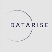 DataRise logo - Similar company to Datarize