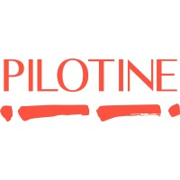 Pilotine Advisory logo - Similar company to Share.D