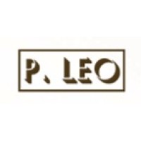 P. Leo & Co Ltd logo - Similar company to The Paradigm Group, Llc