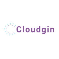 Cloudgin logo - Similar company to Kloudgin
