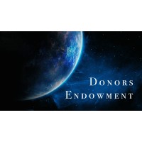 Donors Endowment logo - Similar company to Donors Army