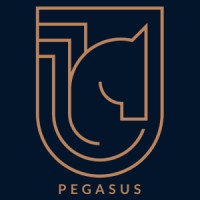 Pegasus Capital logo - Similar company to Pegasus Talent Llc