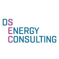 DS Energy Consulting logo - Similar company to Expedice Z101