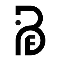 BFI PARTNERS logo - Similar company to Sainoo By Calmon Partners