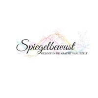 Spiegelbewust logo - Similar company to Crimication