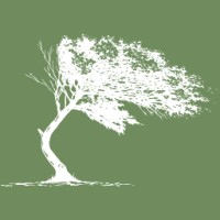Bent Tree Marketing