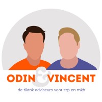Odin & Vincent logo - Similar company to Ztreek