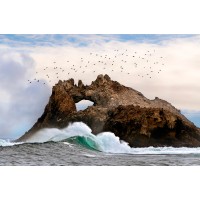 Aulon Arch, Inc