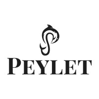 PEYLET logo - Similar company to Flashcop