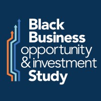 Black Business Opportunity & Investment Study logo - Similar company to Basa (Business Analytics Study Association)