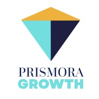 Prismora Growth logo - Similar company to Apex Medical Practice Solutions