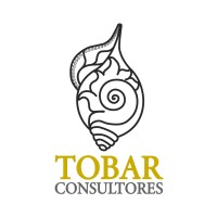 Tobar Consultores logo - Similar company to Origami