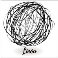 Linou logo - Similar company to Dsm It Pvt Ltd
