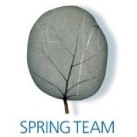Spring Team logo - Similar company to Demand2Plan