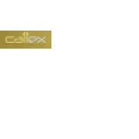 Call Express Construction India Pvt. Ltd. logo - Similar company to Callex Group