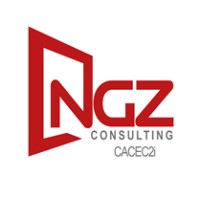 NGZ Consulting logo - Similar company to Cabinet Ceipi