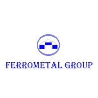 Ferrometal Group logo - Similar company to Digitecno Snc