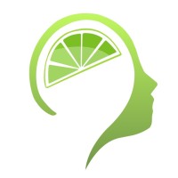 Lime Brains logo - Similar company to Imset - Software House