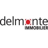 DELMONTE IMMOBILIER REUNION logo - Similar company to Syndic 974