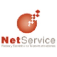 Net Service Argentina
