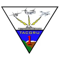 Tactical Air Control Group ONE (CTG-1) logo - Similar company to Tacron Eleven