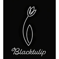 BlackTulip logo - Similar company to Rbmg Consulting