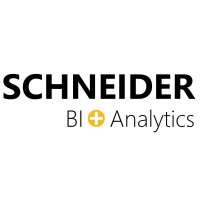 Schneider Data Consultancy BV logo - Similar company to Bi Adaptive