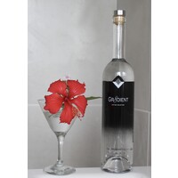 Gr8dient Vodka logo - Similar company to 145 Vodka