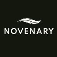 Novenary logo - Similar company to Kenni Studios