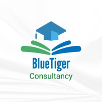 BlueTiger Consultancy logo - Similar company to Mba In A Day® 2.0