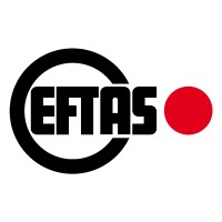 EFTAS Fernerkundung Technologietransfer GmbH logo - Similar company to Heigit