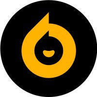 Bpay logo - Similar company to Bpay Srl