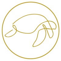 Black Turtle Yukon logo - Similar company to Black Turtle