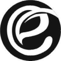 E Academic Press