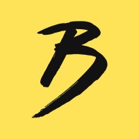 Booreiland logo - Similar company to Creative Team, Wij Zorgen Voor Online Succes